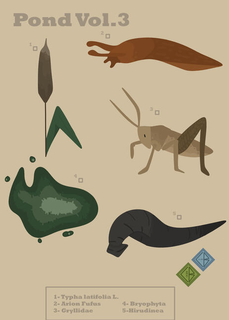 "Pond Field Guide" April 23rd 2024