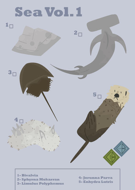 "Sea Field Guide" April 23rd, 2024