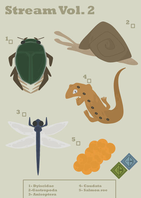"Stream Field Guide" April 23rd 2024